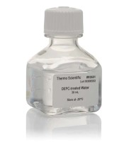 Вода без нуклеаз, обработанная диэтилпирокарбонатом, Thermo FS (аналоги арт. 3783.0005, 3783.0050, Диаэм)