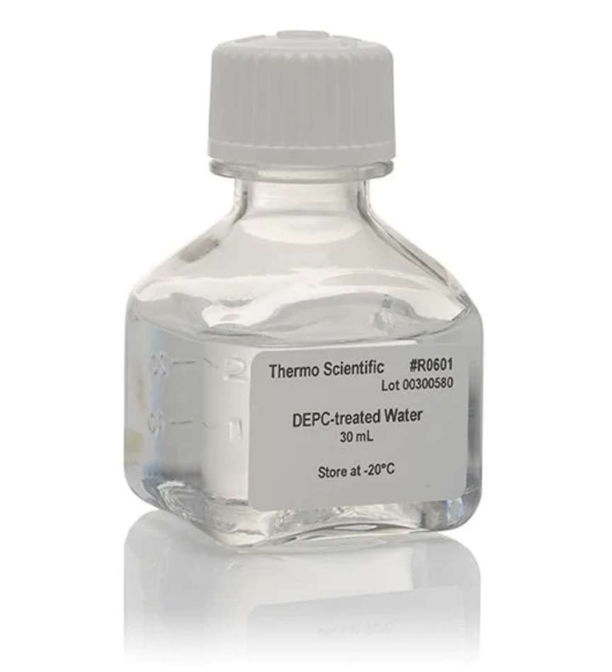 Вода без нуклеаз, обработанная диэтилпирокарбонатом, Thermo FS (аналоги арт. 3783.0005, 3783.0050, Диаэм)