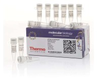 Набор для безлигазного клонирования aLICator LIC Cloning and Expression Set 2, Thermo FS