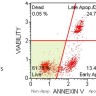 Набор для анализа апоптоза (аннексин V) Muse Annexin V & Dead Cell Kit, 100 тестов, Luminex