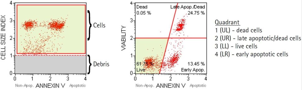 Набор для анализа апоптоза (аннексин V) Muse Annexin V & Dead Cell Kit, 100 тестов, Luminex