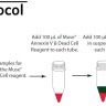 Набор для анализа апоптоза (аннексин V) Muse Annexin V & Dead Cell Kit, 100 тестов, Luminex