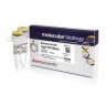 Эндонуклеаза рестрикции HpyF10VI (MwoI), 10 е.а./мкл, Fermentas, Thermo FS