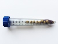 Пробирки 15 мл Lysing Matrix A, с гранатовым песком и керамическими шариками d 6,35 мм, MP Biomedicals