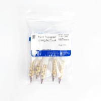 Пробирки 15 мл Lysing Matrix A, с гранатовым песком и керамическими шариками d 6,35 мм, MP Biomedicals