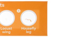 Набор микропрепаратов Discovery «Флора и фауна», 24 шт.