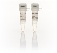 Гликоген, для работы с ДНК, 20 мг/мкл, Thermo FS