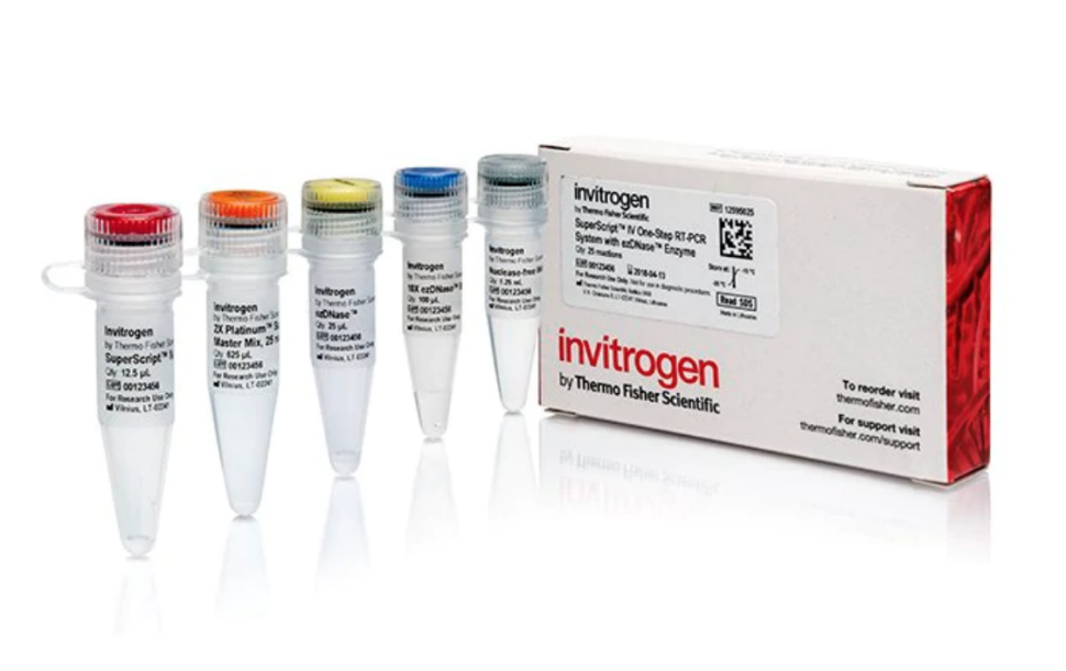 Набор SuperScript IV One-Step RT-PCR System with ezDNase, Thermo FS