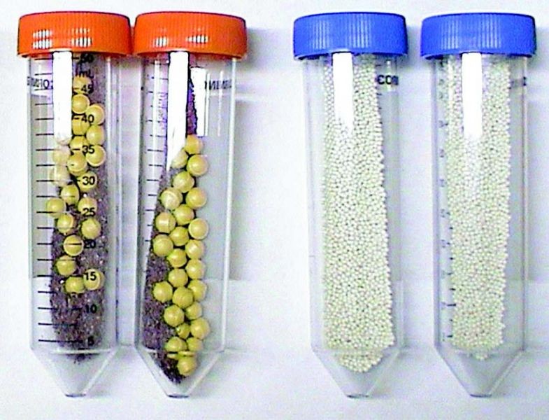 Пробирки 50 мл Lysing Matrix D, керамические шарики d 1,4 мм, MP Biomedicals