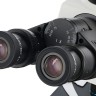 Микроскоп цифровой Levenhuk MED D45T, тринокулярный