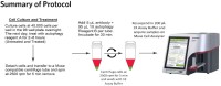 Набор для анализа аутофагии Muse Autophagy LC3-Antibody Based Kit, 200 тестов, Luminex