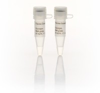 Гликоген, для работы с РНК и ДНК, Thermo FS