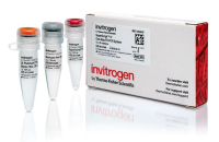 Набор SuperScript IV One-Step RT-PCR System, Thermo FS