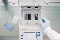 ДНК-амплификатор Mastercycler nexus X2, двойной алюминиевый реакционный блок, с блоком управления, Eppendorf