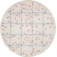 Тест-пластины KangarooSci для экспресс-определения КМАФАнМ, 12 шт./уп., Ringbio (аналоги арт. 6406, 3M; арт. 61980, Kikkoman)