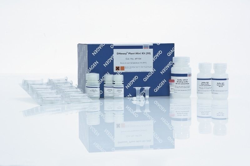 Набор для выделения геномной ДНК из растительных образцов DNEasy Plant Mini Kit, Qiagen