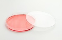 Чашки культуральные, d 150, поверхность Nunclon Delta, вент.крышка, стер., EasYDish, 80 шт./уп., Thermo FS