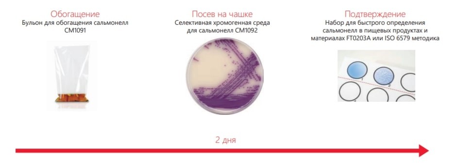 Основа для бульона ONE для сальмонеллы, Thermo FS