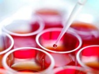 База регистрации данных «Диаэм: Банк Клеточных Культур», Диаэм