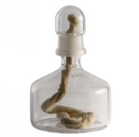 Спиртовка СЛ-1 КШ 19/17