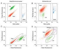Набор для определения концентрации и жизнеспособности бактерий LIVE/DEAD BacLight, Thermo FS