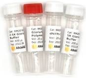 Набор для высокоточной ПЦР Gloria Nova HS PCR, ABclonal