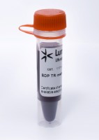 Краситель для митохондрий и других органелл BDP TR метиловый эфир, Lumiprobe