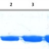 Краситель для белкового фореза InstantBlue Coomassie Protein Stain, Abcam