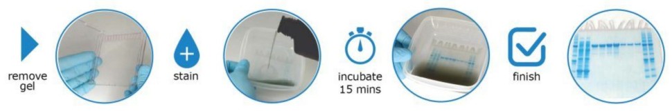 Краситель для белкового фореза InstantBlue Coomassie Protein Stain, Abcam