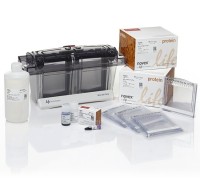 Электрофорезная вертикальная камера Mini Gel Tank (Blot Welcome Pack A), 8х8 см, 2 геля, с набором реагентов, Thermo FS