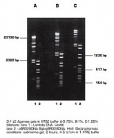 Агароза, низкий EEO, D1, diaGene