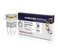 Эндонуклеаза рестрикции Lsp1109I (BbvI), 5 е.а./мкл, Fermentas, Thermo FS