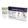 Эндонуклеаза рестрикции Lsp1109I (BbvI), 5 е.а./мкл, Fermentas, Thermo FS