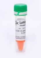 Краситель для нуклеиновых кислот LUCS13, зеленый, Lumiprobe