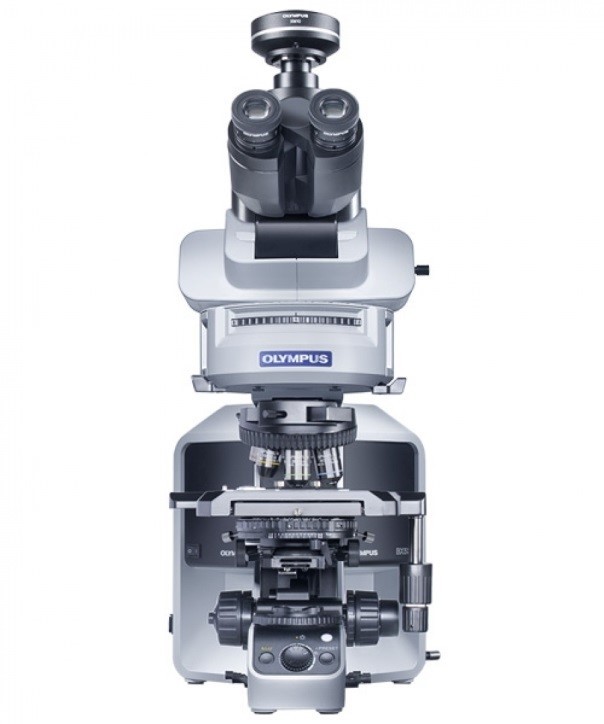 Микроскоп BX-53, прямой, ахромат, СП, ТП, ФК, ДИК, флуоресценция, поляризация, 40x 100x 400x 1000x, Olympus