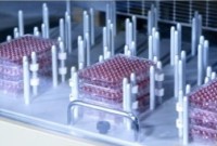 Разделители / фиксаторы для 3 планшет для платформы 31304, 31333, Infors