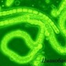 Освещение LED для Minitron, Infors