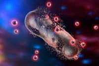 Набор для экстракции бактериального белка B-PER, Thermo FS