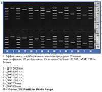 Маркер длин ДНК FastRuler Middle Range, 5 фрагментов от 50 до 1500 п.н., готовый к применению, Thermo FS