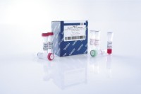 Набор для количественной ПЦР в режиме реального времени Type-it Mutation Detect PCR Kit, Qiagen