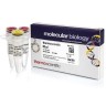 Эндонуклеаза рестрикции MboI (HpaI), 10 е.а./мкл, Fermentas, Thermo FS