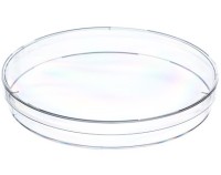 Чашка Петри Greiner Bio-One диаметр 145 мм, высота 20 мм, PS, вентилируемая, нестерильная, 15 штук в упаковке