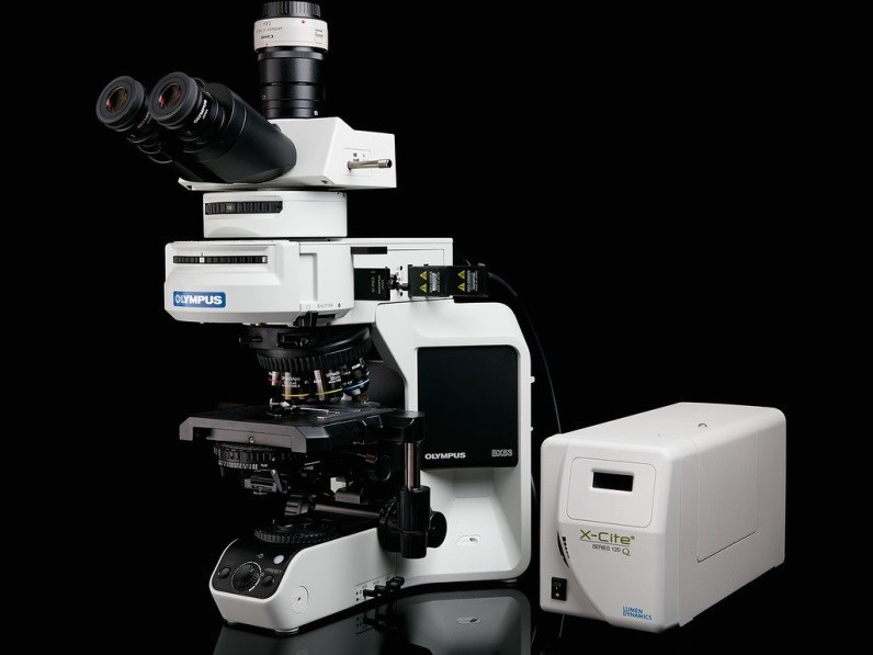 Микроскоп BX-63, прямой, СП, ТП, ФК, ДИК, флуоресценция, простая поляризация, 10х/22 мм, 10х/26 мм, Olympus