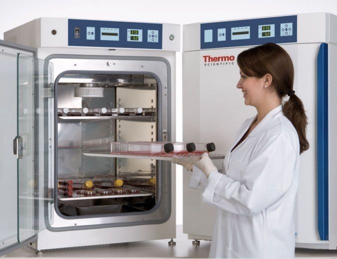 CO2-инкубатор, 184 л, водяная рубашка, ТК-датчик, 8000 WJ 3429, Thermo FS