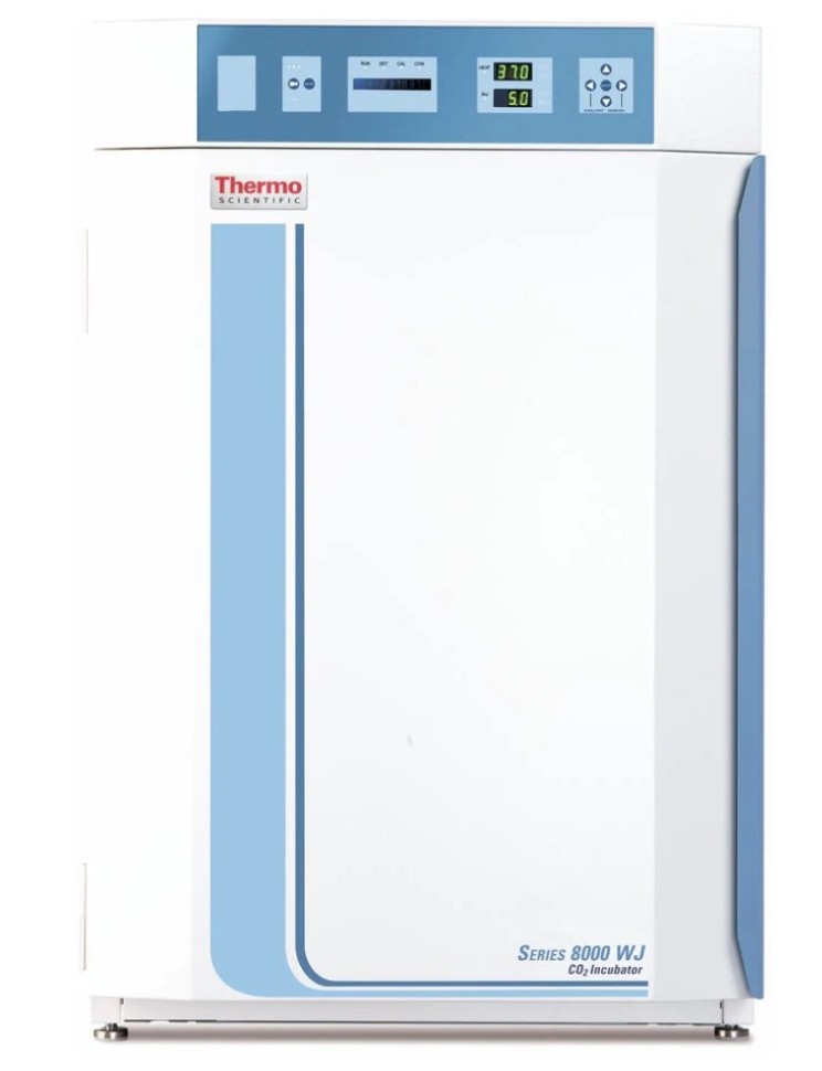 CO2-инкубатор, 184 л, водяная рубашка, ТК-датчик, 8000 WJ 3429, Thermo FS
