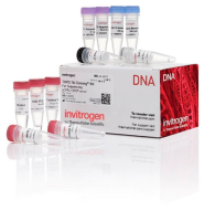 Набор для клонирования TOPO TA Cloning Kit for Sequencing, компетентные клетки не включены, Thermo FS