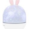 Астропланетарий Levenhuk Star Sky P1