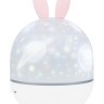 Астропланетарий Levenhuk Star Sky P1