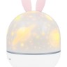 Астропланетарий Levenhuk Star Sky P1