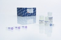 Набор для выделения ДНК из гелей в мин. объёме MinElute Gel Extraction Kit, Qiagen